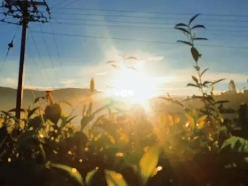 适合发视频的文案图片