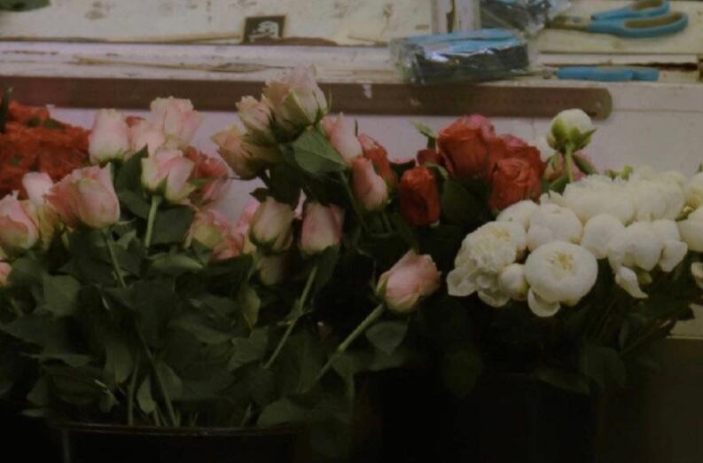 有关花的文案句子无关爱情