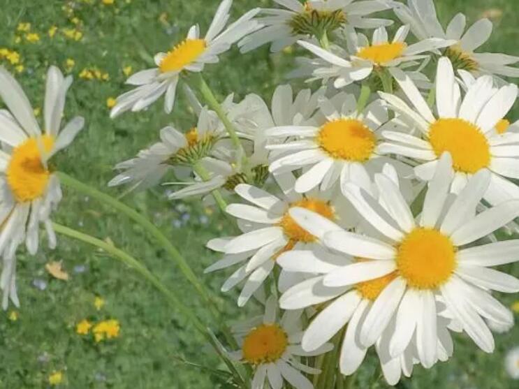 关于夏天和朋友出去玩的文案