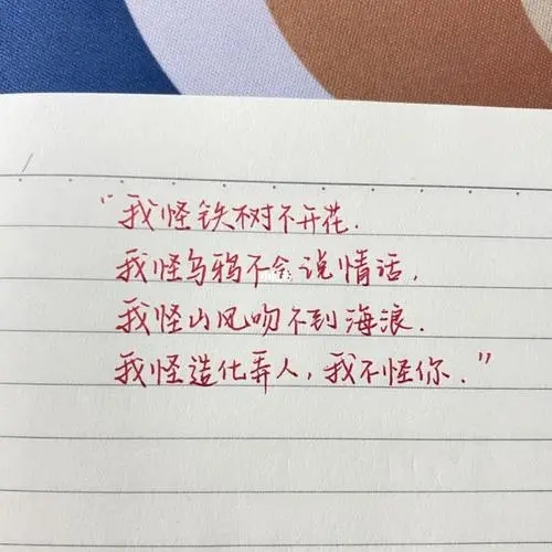 简短的情话文案