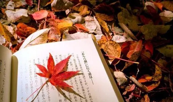 表示被吓到的文案