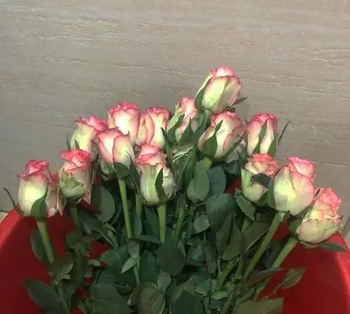 两人对话的文案