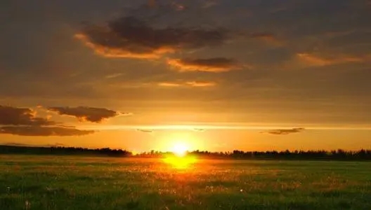 向前奔赴的文案