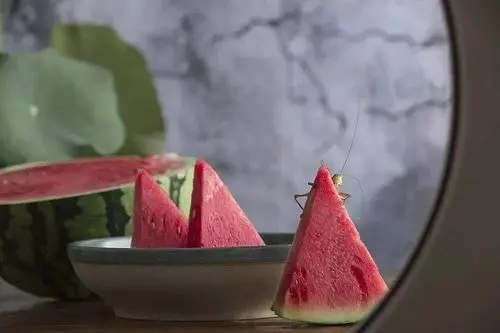 三伏天营销文案