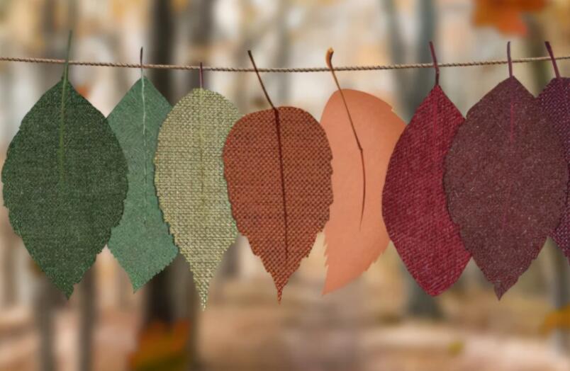 关于绿叶的朋友圈文案