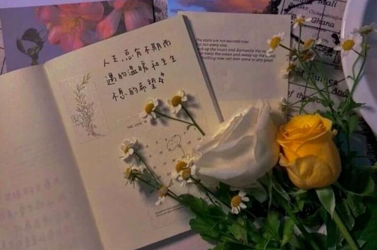 能写进作文里的神仙文案