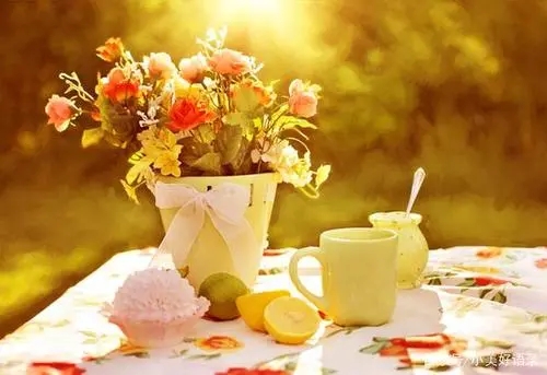 走心文案下午茶报道