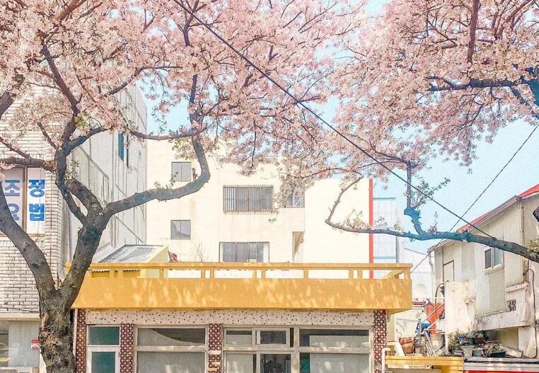 抖音2022年最新文案春天