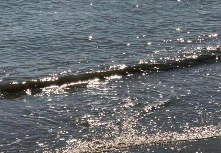 国家不同省份文案