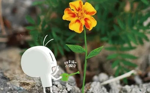 关于2022的女生霸气文案