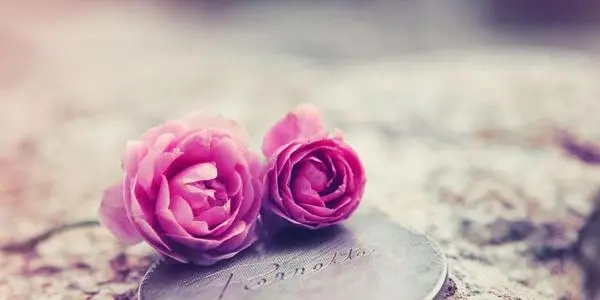 吸引人的婚恋文案