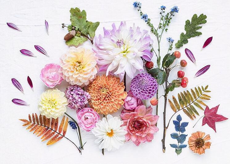 朋友圈早安可爱说说文案