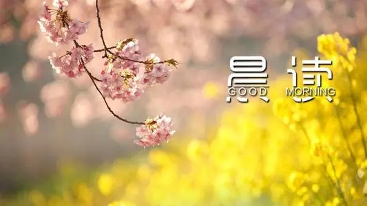 晨读的朋友圈文案