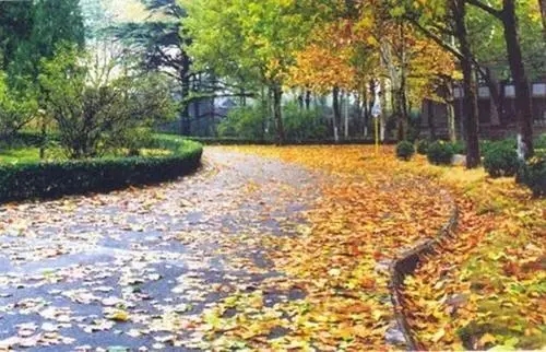 描写校园景色的文案