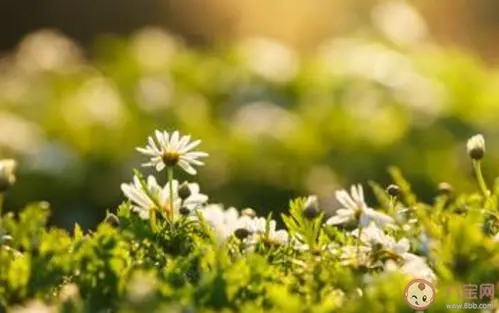 小红书适合春天的文案