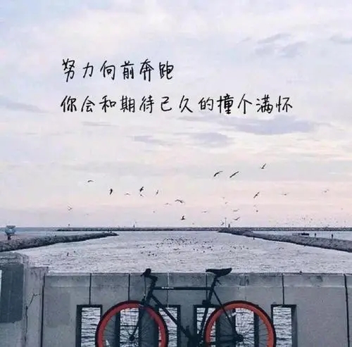 热门文案励志正能量