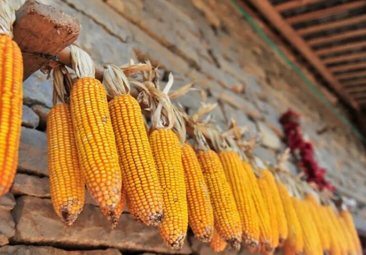 农家乐发朋友圈的文案