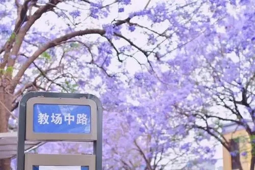 春末夏初朋友圈文案