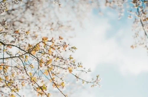 适合发微信朋友圈郁闷的文案