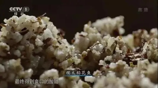 舌尖上的中国配音文案