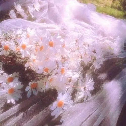 温柔的文案配图