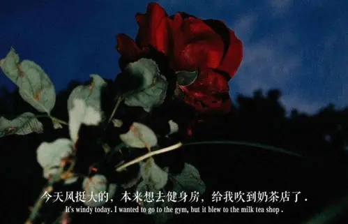 超丧的文案和图片