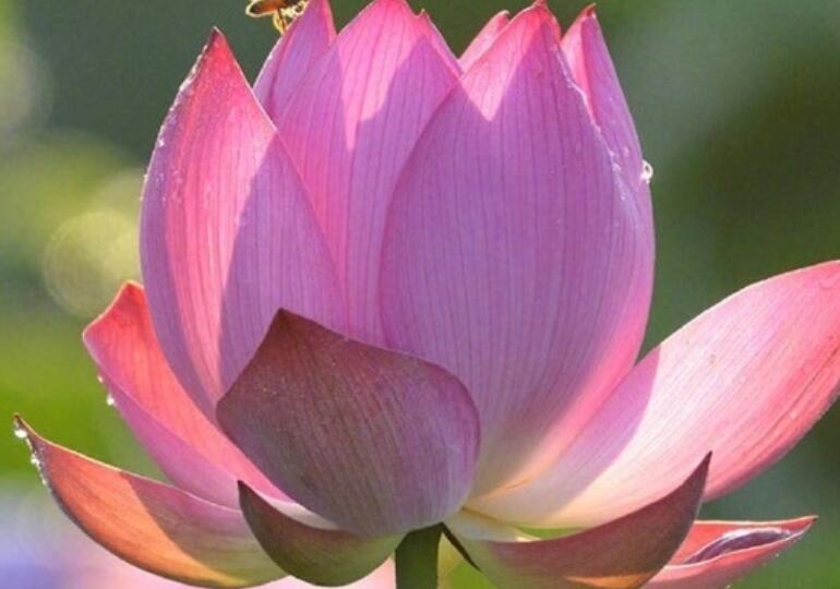 比较温馨的文案