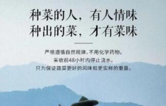 自己种蔬菜的文案