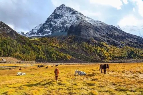 稻城亚丁朋友圈简短文案