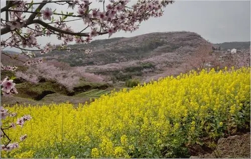 春悄悄的来了文案
