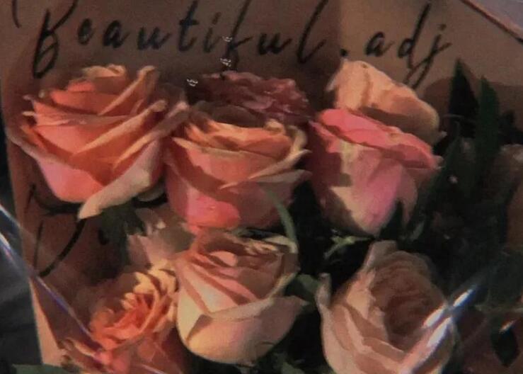 充满爱意的文案