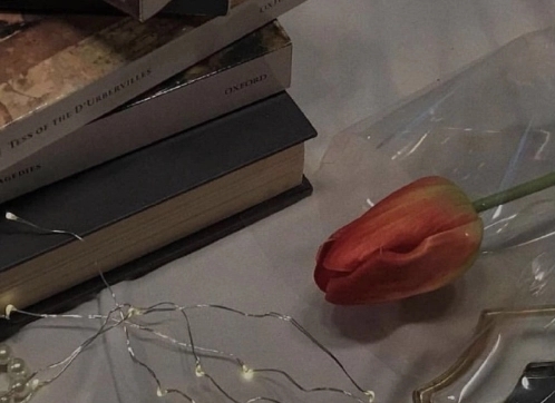 抖音文案感恩遇见