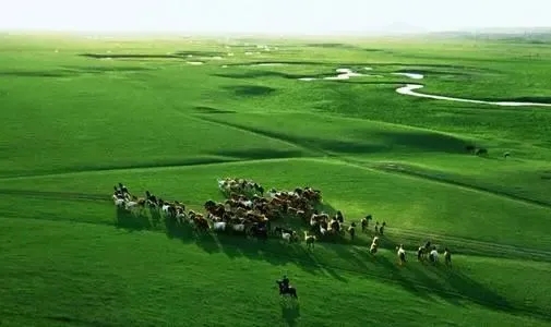 关于内蒙古的文案