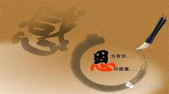 感恩别人的文案