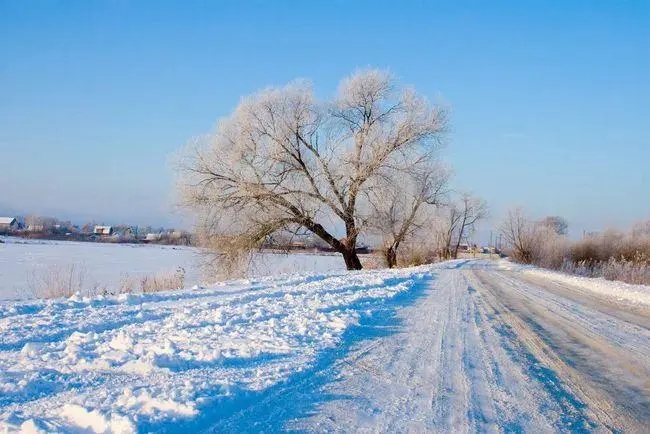 关于下雪的朋友圈文案