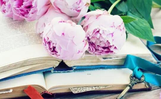 怎样写一些比较吸引人的文案