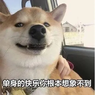 适合单身发朋友圈的文案