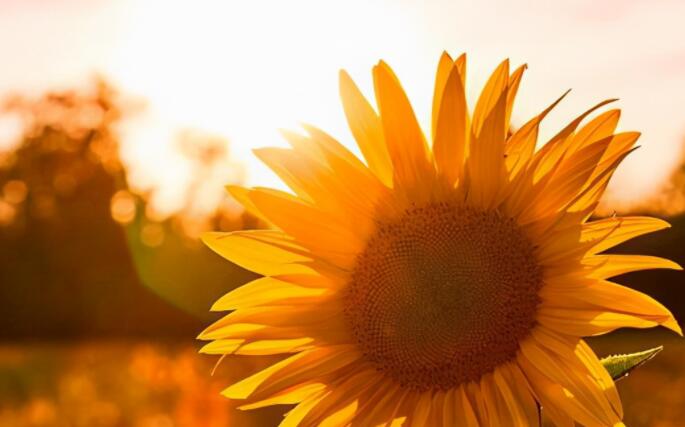 一个人难受的文案