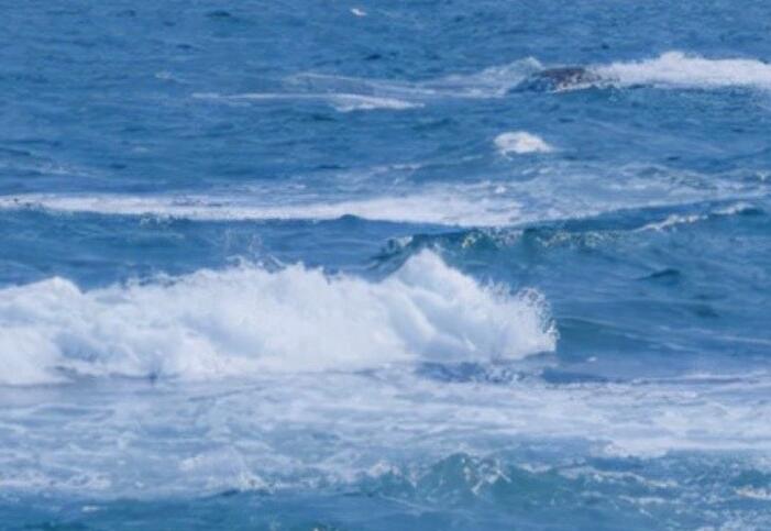 发朋友圈的精美句子文案