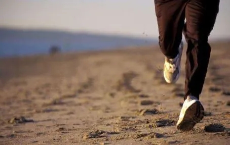 心向阳光正能量的文案