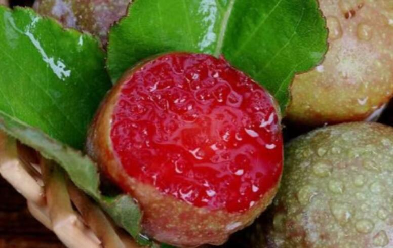 抖音卖水果文案大全