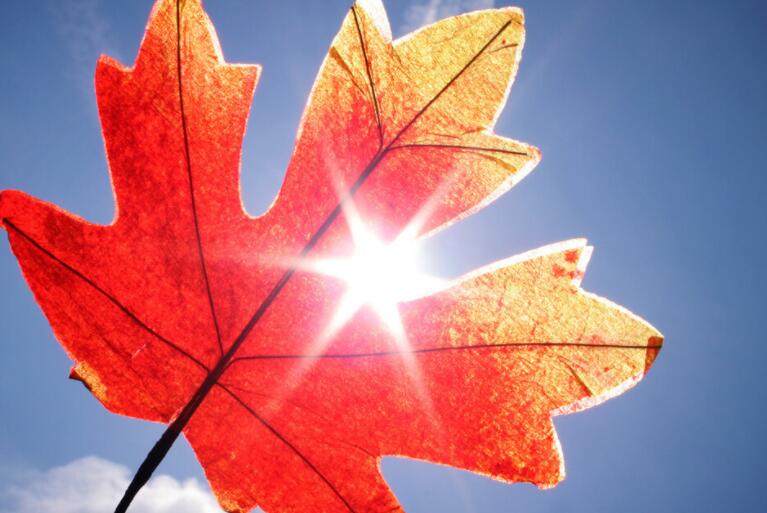 房地产秋季文案