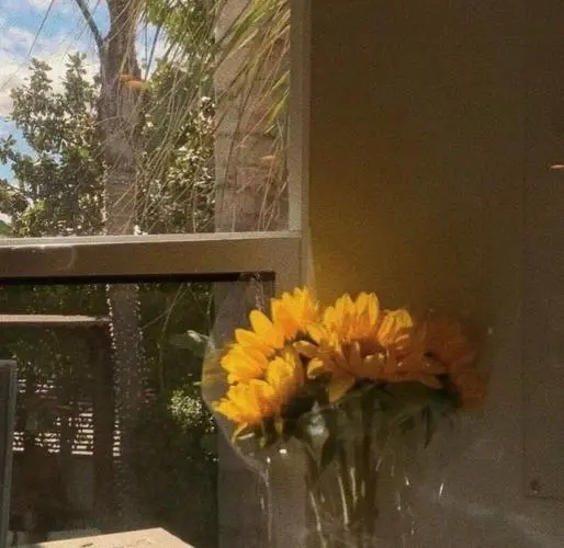 适合热恋期发的文案