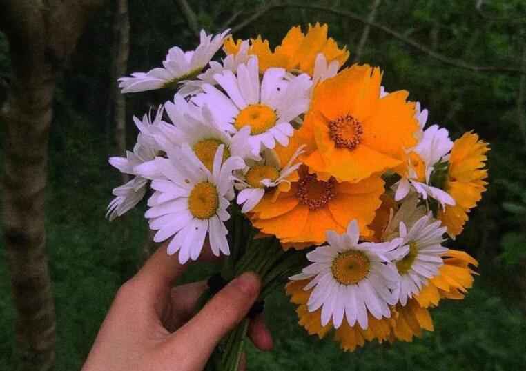 不想谈恋爱的搞笑文案