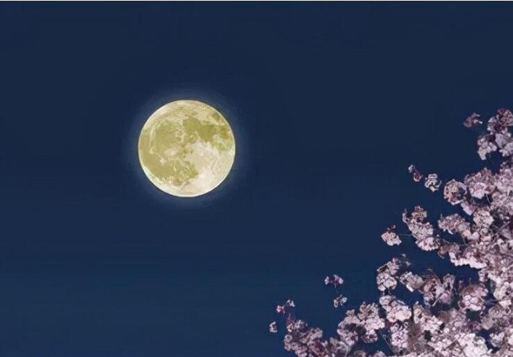 看月亮星星文案