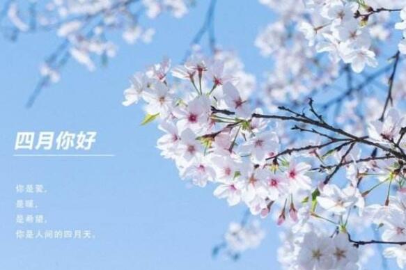 四月的文案