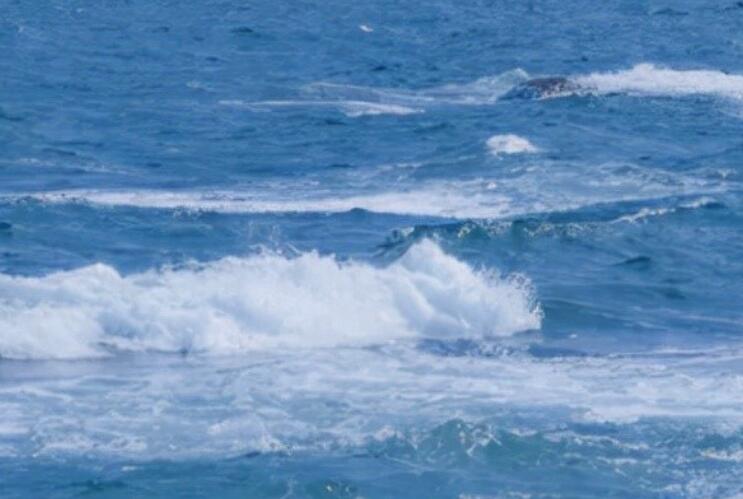 发朋友圈心情好的文案