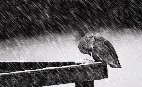 认真生活励志文案