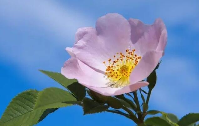 抖音文案感恩遇见