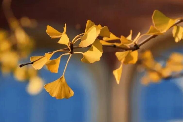 朋友圈今日开心文案